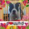 Profile Picture of Brenda de VriesKlumper (@brenda.devries.165) on Facebook