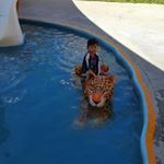 Profile Picture of Carlos Cosio (@carloscosioo) on Instagram