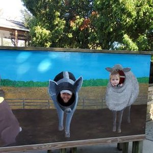 Profile Picture of Joe Schulze (@JoeSchulze15) on Twitter