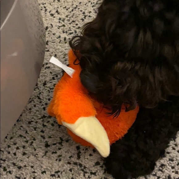 Profile Picture of Ali Reagh (@alireagh) on Poshmark