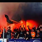 Profile Picture of Mike Zwarthoed (@mike_zwarthoed) on Instagram