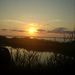 Profile Picture of Marilyn Parrott (@parrottm49) on Pinterest