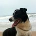 Profile Picture of Guy Leach (Guy Leach Fowler) (@guy.leach.9) on Facebook