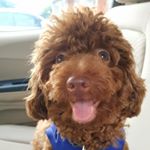 Profile Picture of Felix Nicholas Gunawan (@felixilef.gunawan) on Instagram