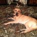 Profile Picture of Lori Siebert (@lori.siebert.16) on Facebook