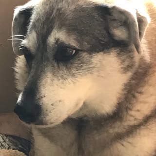 Profile Picture of Samantha Tester (@samantha.tester) on Instagram