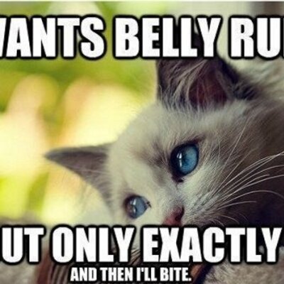 Profile Picture of Scott Ridder (@RidderScott) on Twitter