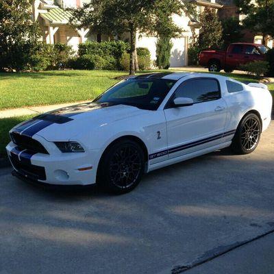 Profile Picture of Matthew Uren (@boxrstang) on Twitter