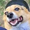 Profile Picture of CaitlinMathewson (@binx98) on Tiktok