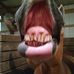 Profile Picture of Robin Powell (@robin.powell.792) on Facebook