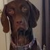 Profile Picture of Glenn Reichert (@glenn.reichert.75) on Facebook