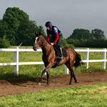 Profile Picture of Alex Dunn (@alexdunnracing) on Instagram