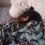 Profile Picture of Raymond Jesus Gallegos (@aye.rayymond) on Instagram