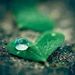 Profile Picture of Manav Agarwal (@manavagarwal198) on Pinterest