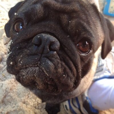 Profile Picture of Sybrand Tintinger (@SybrandTin) on Twitter