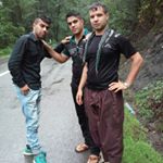 amir kohan - Instagram Profile Picture of amir kohan (@kohanamir) on Instagram