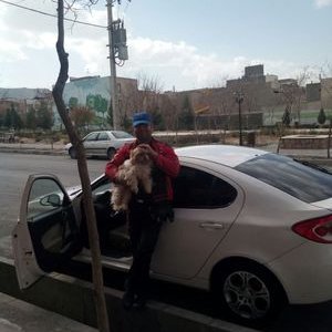 Profile Picture of Hasan Tabrizi (@hasantabrizi5) on Twitter