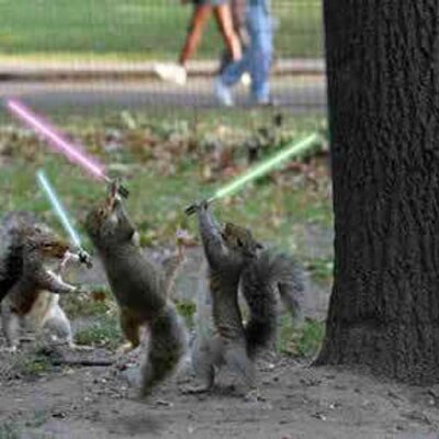 Profile Picture of Paul Cannell (@Hooner_Gooner) on Twitter