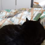 Profile Picture of Erich Kovac (@Erich-Kovac) on Facebook