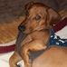 Profile Picture of Sandra Russo (@sandra.russo.50999) on Facebook