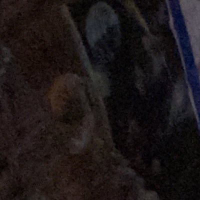 Profile Picture of Adilene Barrera (@AdileneBarrer15) on Twitter