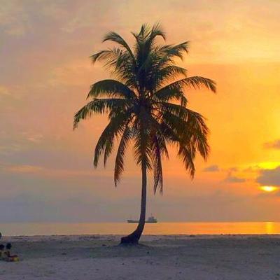 Profile Picture of Adam Saeed (@adamsaeed12) on Twitter