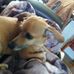 Profile Picture of Larry Trimble (@larry.trimble.165) on Facebook