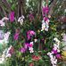 Profile Picture of Rose Lear (@rose.lear.1048) on Facebook