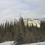 Profile Picture of James Gruben (@james_gruben) on Instagram