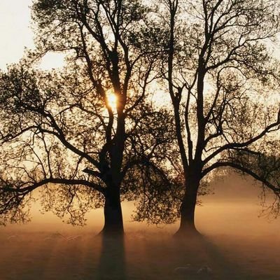 Profile Picture of Larry Hays (@DukeLars74) on Twitter