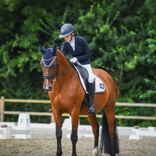 Profile Picture of ✨dutch jumping amazone✨ (@djaydee.vandenberg) on Instagram