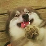 Profile Picture of Shawn Pike (@shawnr.pike) on Instagram