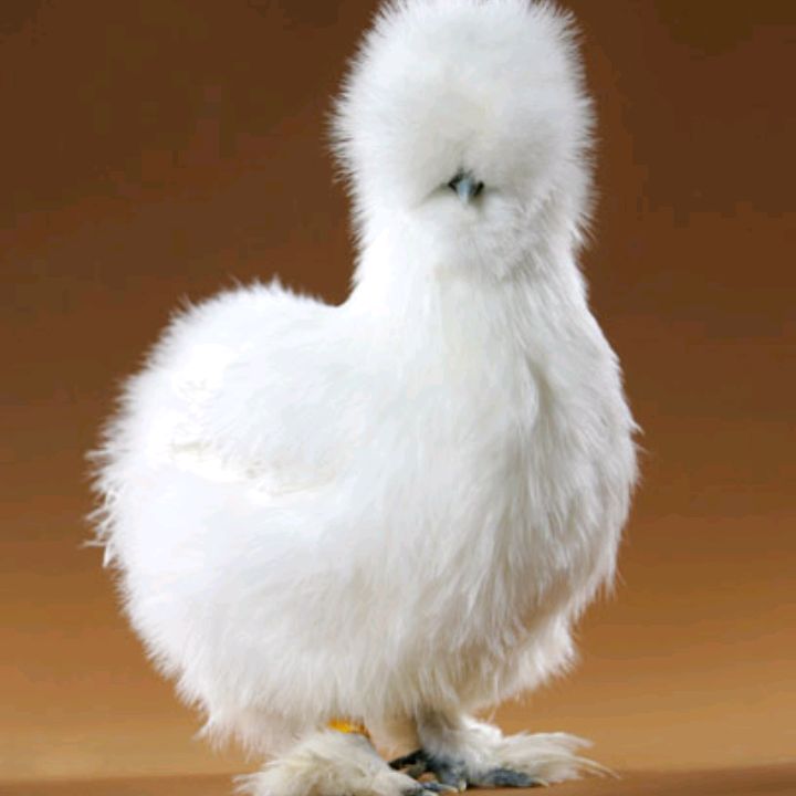 Profile Picture of Donna Hull (@donnahull1967) on Tiktok