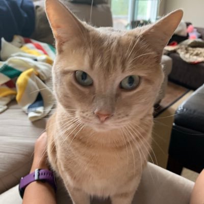 Profile Picture of JenG (@GoJenGo18) on Twitter