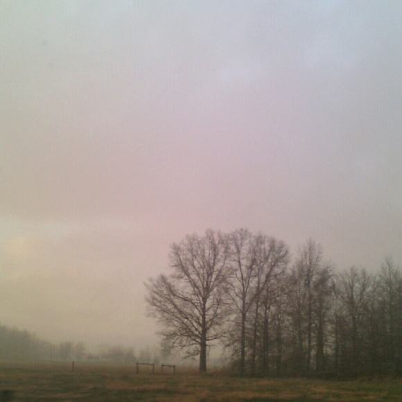 Profile Picture of Alexis Lamond (@loulove11) on Poshmark