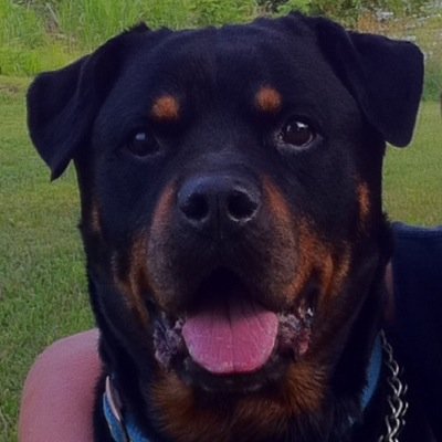 Profile Picture of Mike Tindal (@Mojoman45) on Twitter