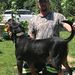 Profile Picture of Jeremy Elkins (@jeremyelkins1365) on Pinterest