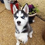 Profile Picture of Jade Mcdowell (@jade_is_queen18) on Instagram