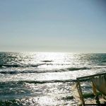 Profile Picture of Domenica Corrado Martorana (@domenica_martorana) on Instagram