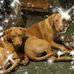 Profile Picture of Nancy Politte (@nancy.politte.5) on Facebook