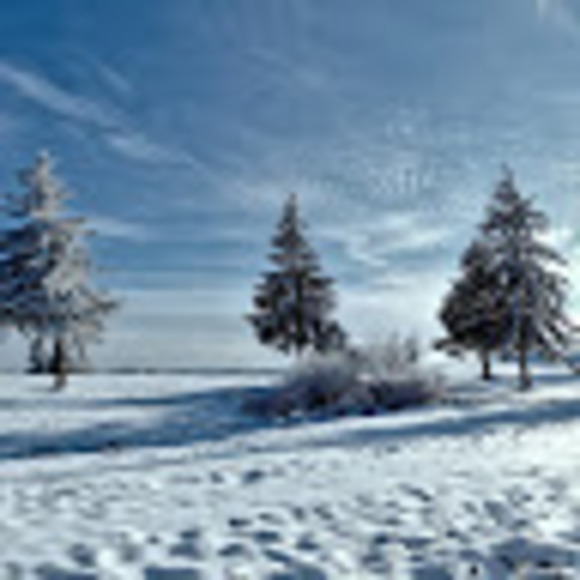 Profile Picture of Joe Birnbaum (@joebirnbaum) on Poshmark