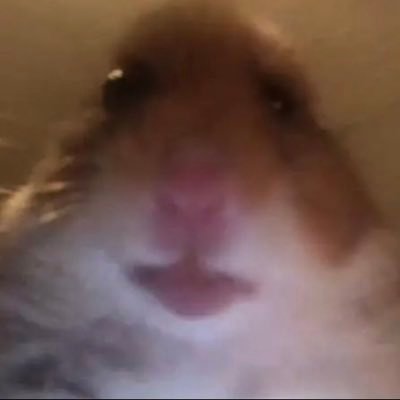 Profile Picture of Steven Lazo (@StevenLazo16) on Twitter