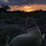 Profile Picture of Tyler Epps (@tylerepps34) on Instagram