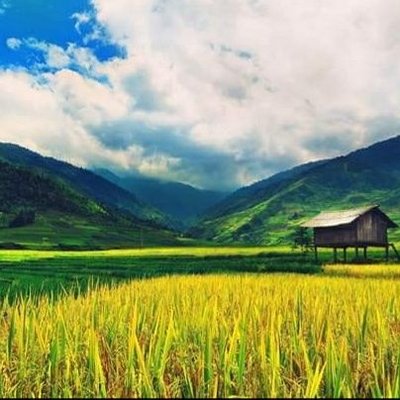 Profile Picture of Vaishali Pandey (@Vaishal55699493) on Twitter