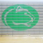 Profile Picture of Sarah Dominguez (@greendalemsphyed) on Instagram