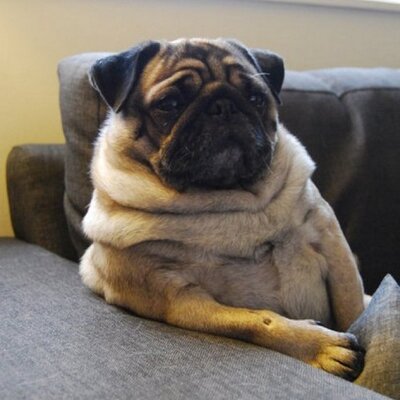 Profile Picture of Jonathan Perry Doane (@jonathandoane) on Twitter