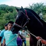 Profile Picture of adrian maciel (@adrianmaciel2) on Instagram