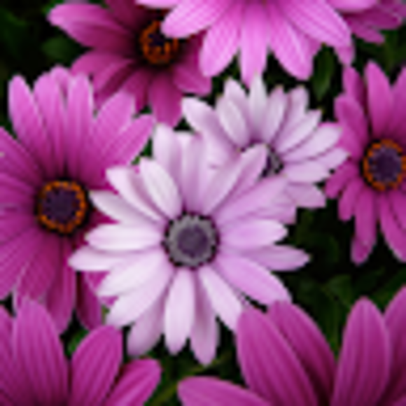 Profile Picture of Kimberly Encalade (@k_encalade) on Poshmark