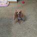 Profile Picture of Bruce Beller (@bruce.beller.739) on Facebook