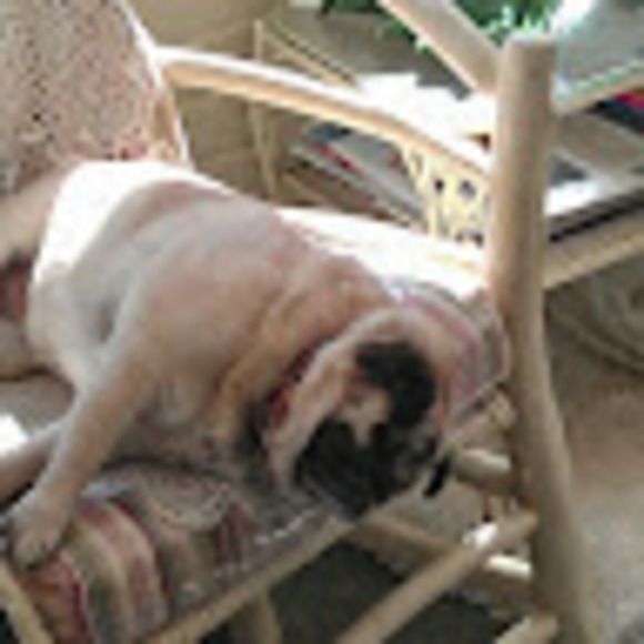 Profile Picture of Christan Heydorn (@clh7807) on Poshmark